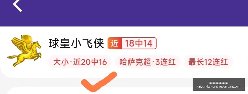 开云平台网,站切尔西的,赞助商,开云平台官网,开云切尔西,切尔西赞助商,开云全站,开云代理