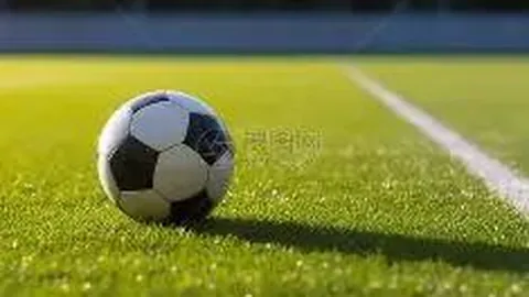 开云平台网站切尔西的赞助商 产品 090758 9q7