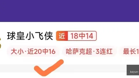 开云平台网站切尔西的赞助商 141707