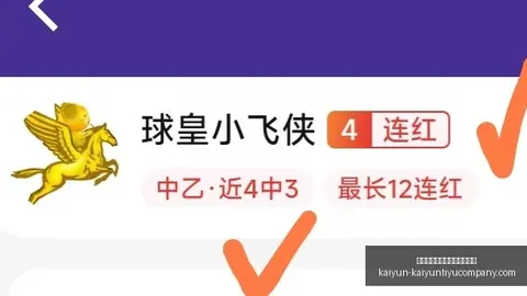 开云平台网站切尔西的赞助商 142730 90
