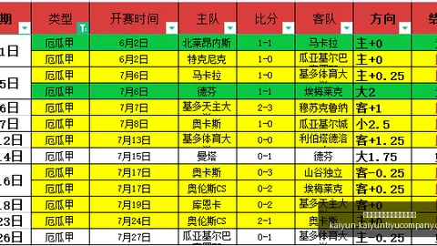 开云平台网站切尔西的赞助商开云平台官网突发变动引发关注