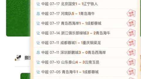 开云平台网站切尔，开云平台官网，西的赞助商 150104 9
