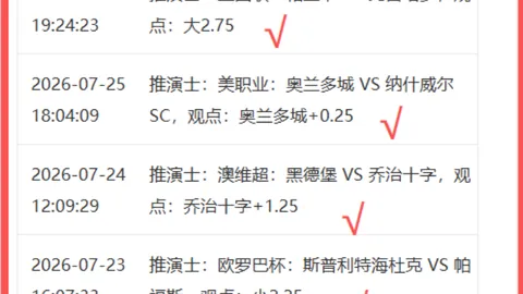 开云平台网站切尔西的赞助商 151228 1