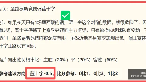 开云平台网站切尔西的赞助商开云平台官网突发变动引发关注